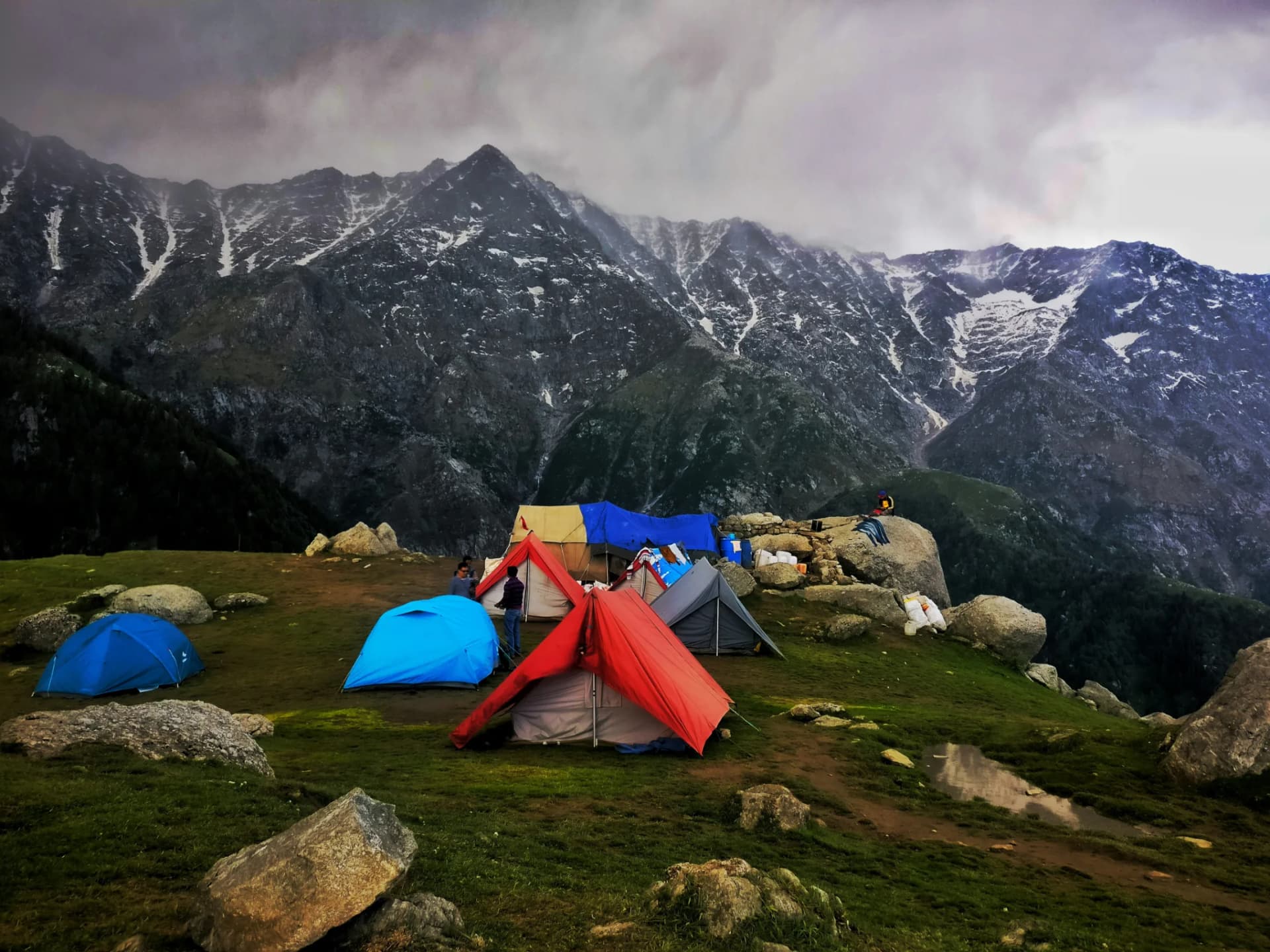 Mardi Himal Trek trek in Nepal