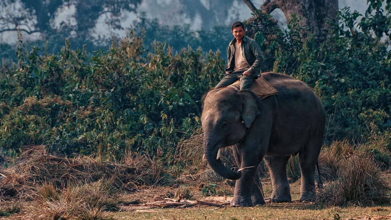 Chitwan, Nepal
