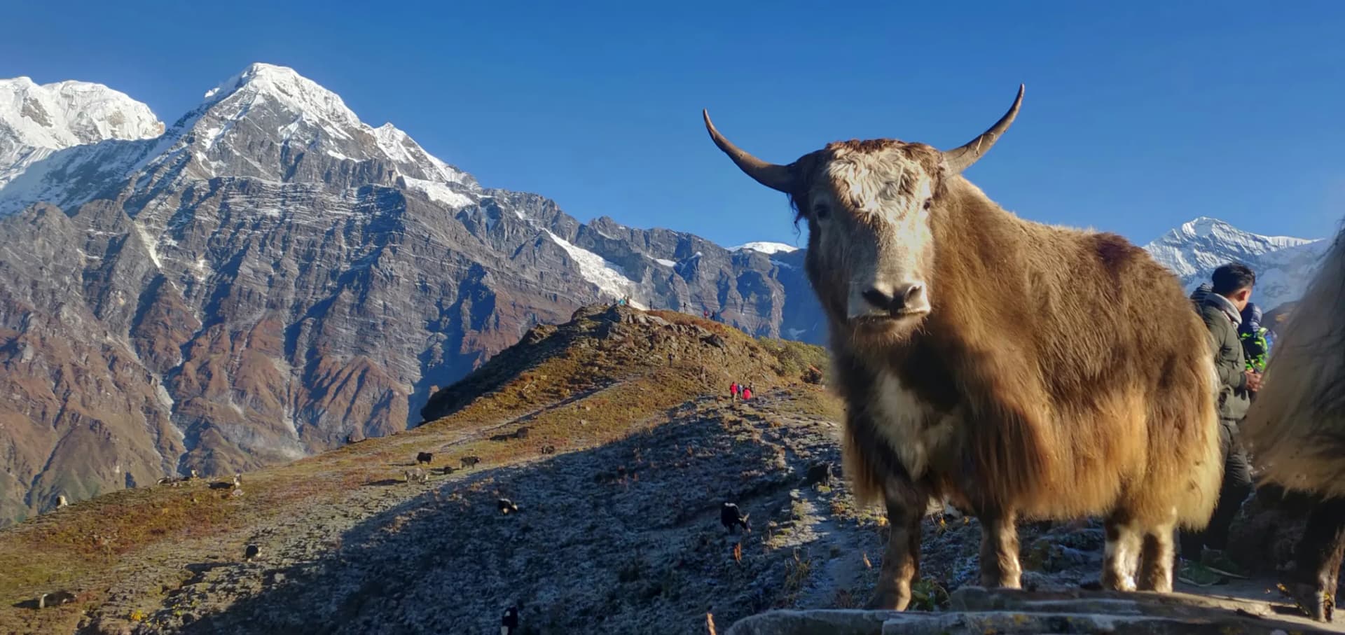 Mardi Himal Trek gallery image 1