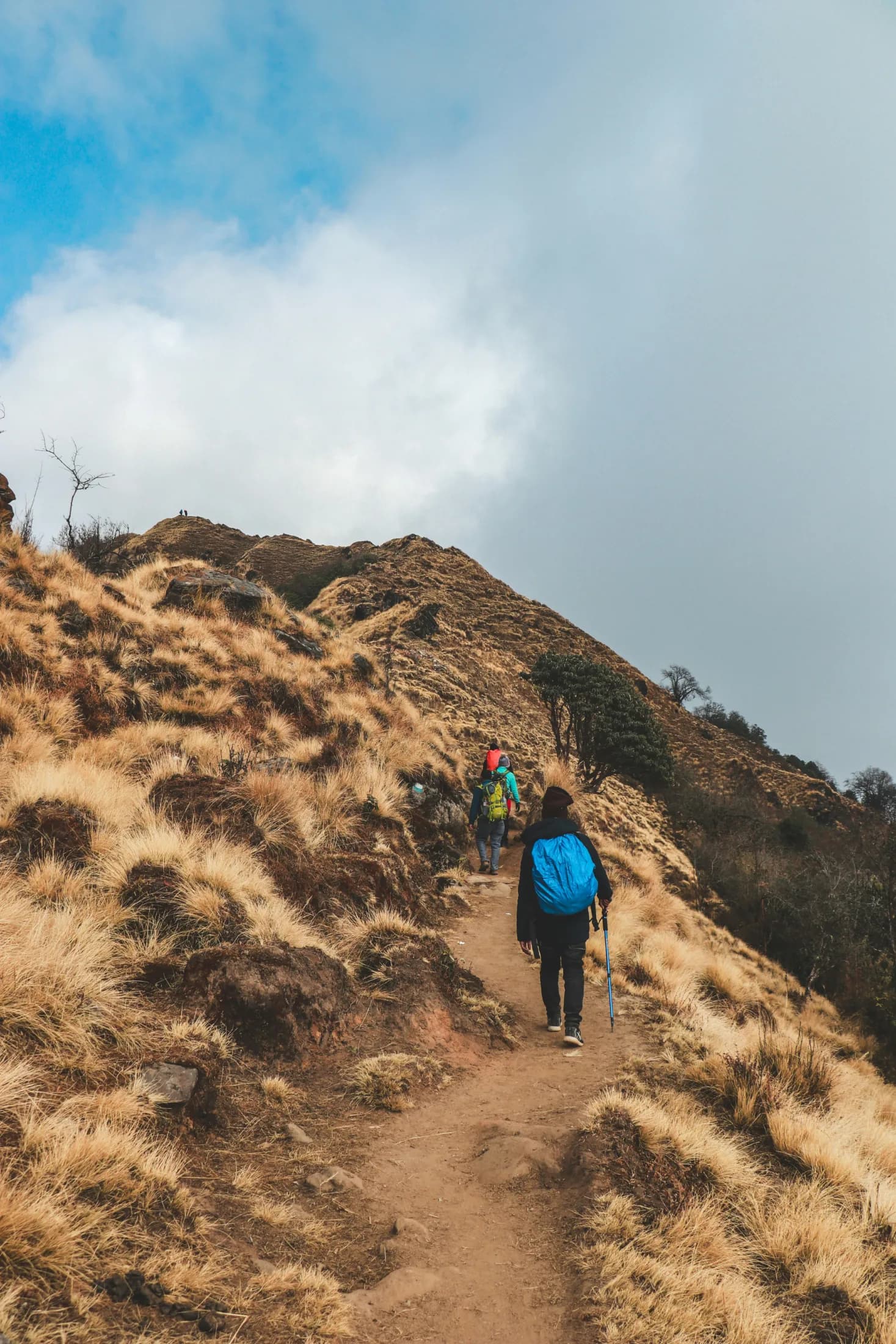 Mardi Himal Trek gallery image 3