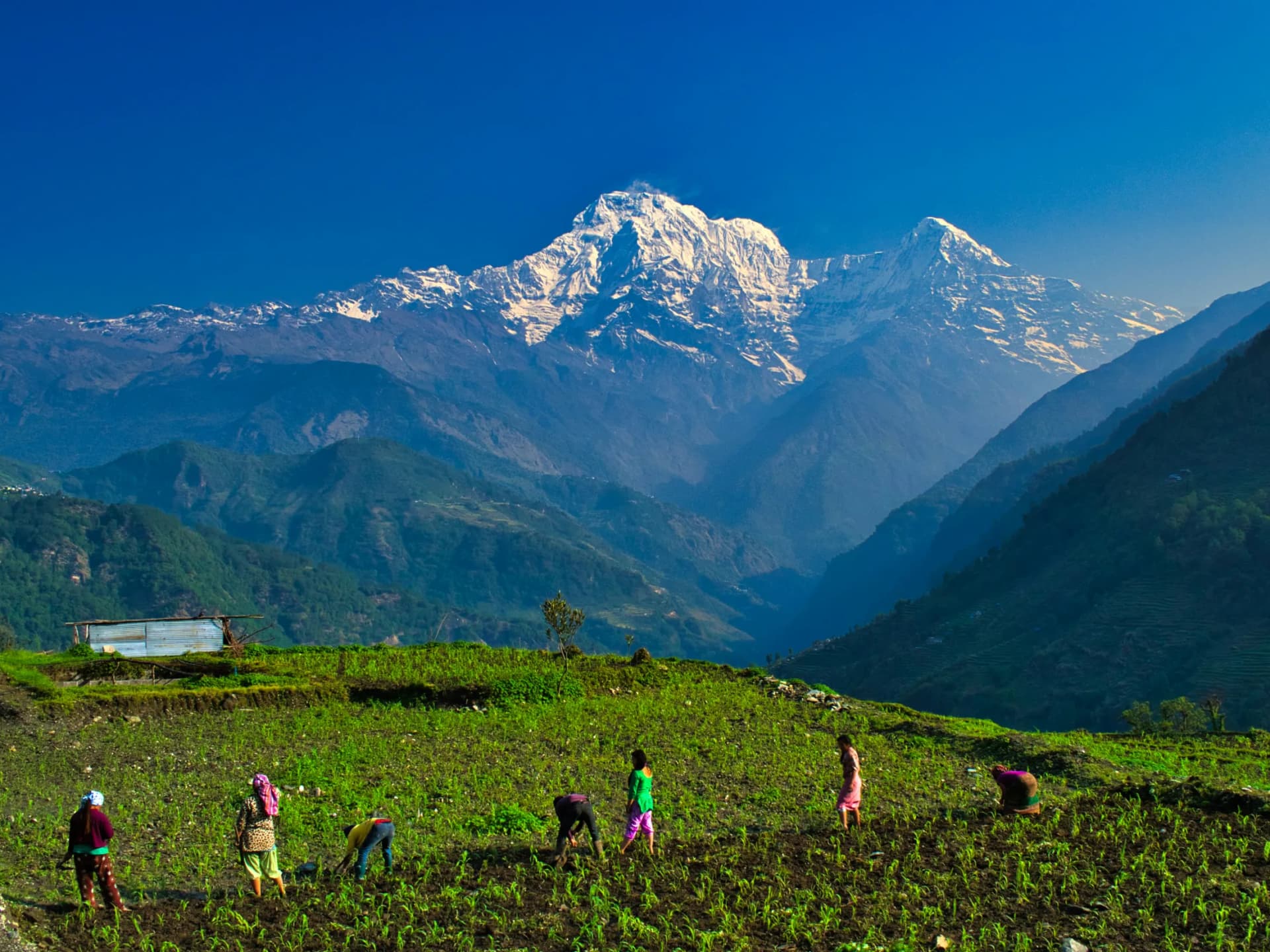 Mardi Himal Trek gallery image 5