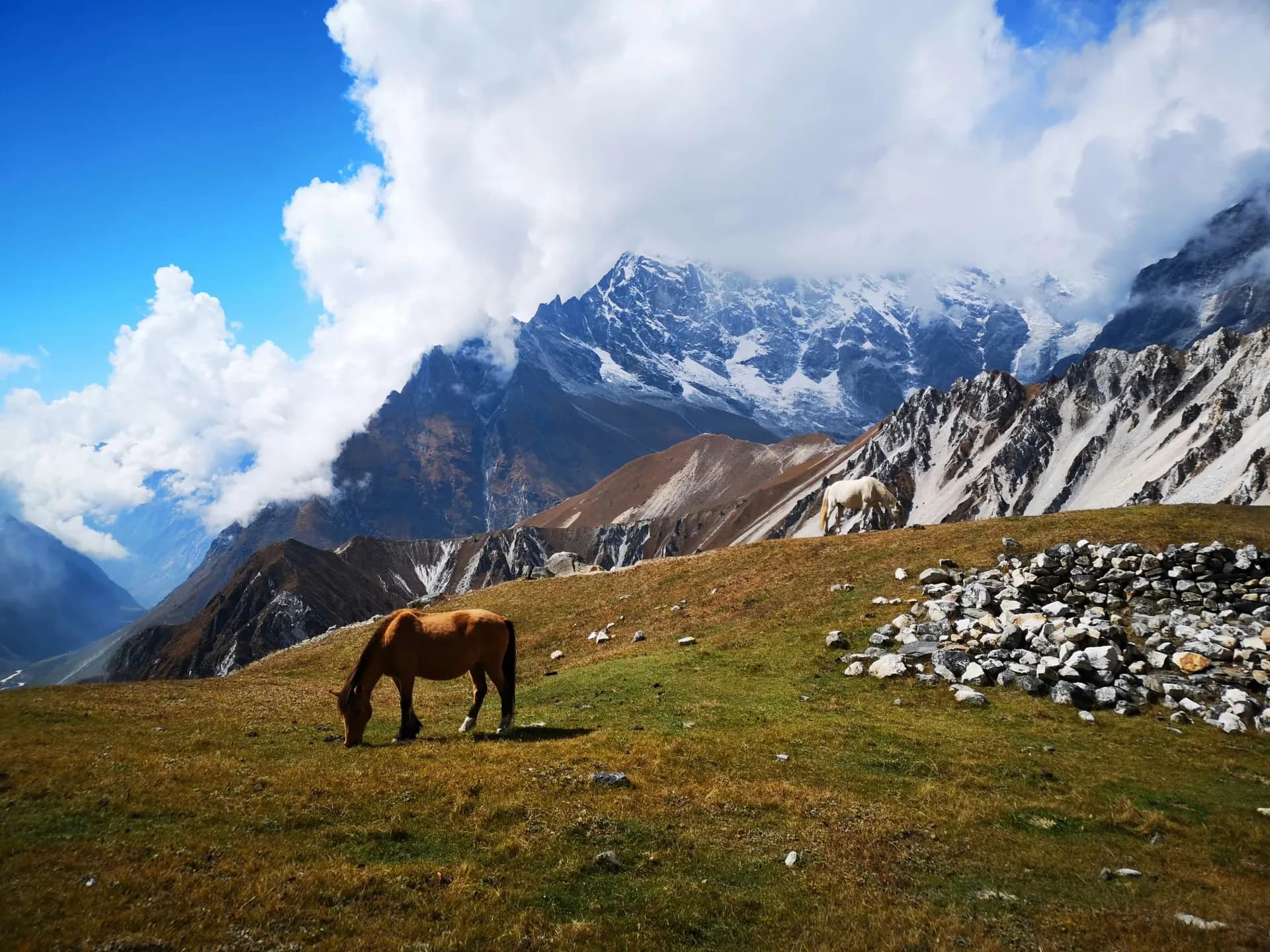 Langtang Valley Trek gallery image 5
