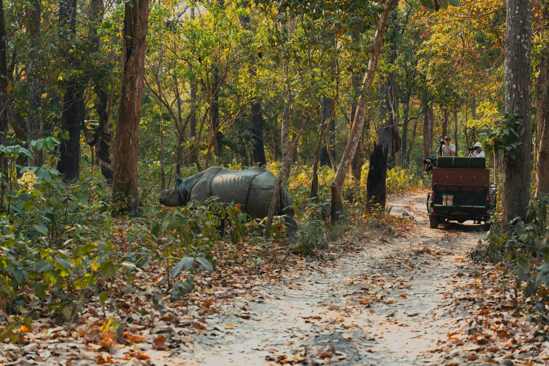Chitwan Jungle Safari, Nepal
