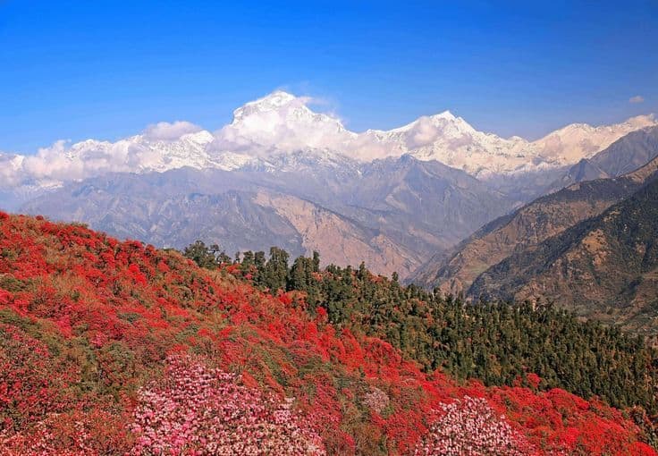 Khopra Danda Trek gallery image 1