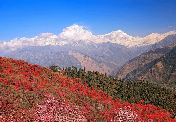 Khopra Danda Trek hero view