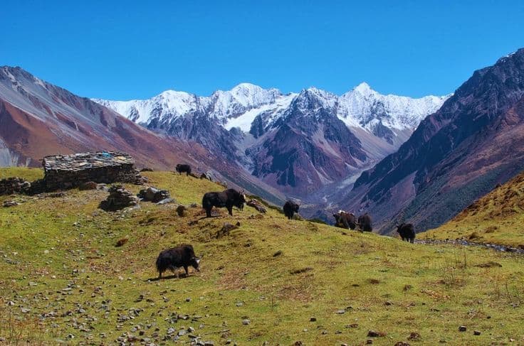 Tsum Valley Trek gallery image 4