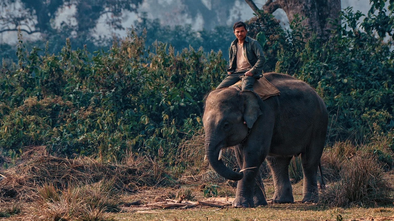 Chitwan, Nepal